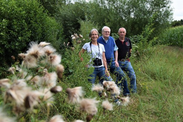 Mehr als nur Unkraut: (von links) Christiane Stolz, Bernhard Brautlecht und Rainer Schramm vom NABU Blomberg wissen ganz genau, wem die hochgewachsene Distel als Nahrungsquelle dient.  - © Greta Wiedemeier