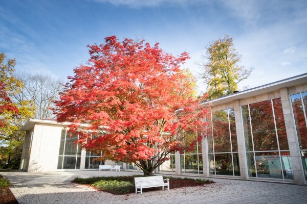 Herbstlich: Die Fassade der Wandelhalle im Kurpark erstrahl in neuem Glanz.  - © Torben Gocke