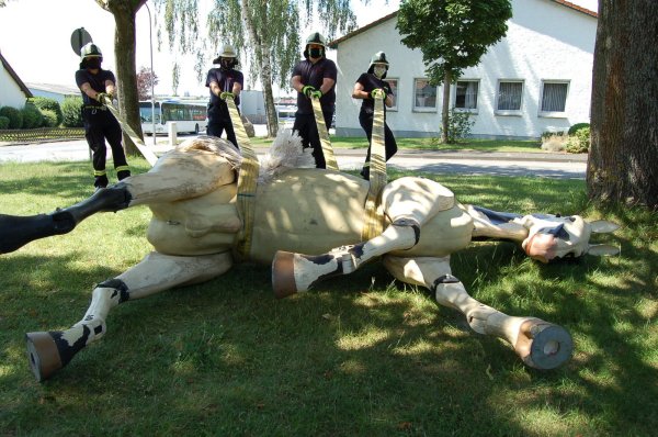Die Feuerwehrleute bewegen „Hengst Sam“ mit breiten Gurtbändern. - © Feuerwehr