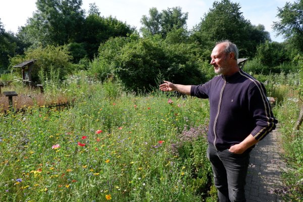 Blick ins Grüne: Gärtner Andreas Beerens steht auf einer der Blühwiesen am Umweltzentrum Heerser Mühle. Er würde sich wünschen, dass Insekten auch in privaten Gärten Nahrung finden. Dort sei aber der Rasen oft viel zu kurz geschnitten. - © Lorraine Brinkmann