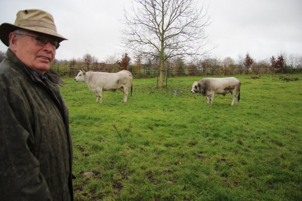Albrecht Brunsiek ist stolz auf seine Zucht. Tamara (links) und Otto sind die letzten aus seiner Zucht. Bei dem männlichen Rind ist es ihm erstmalig auch gelunge, das Tier Hornlos zu züchten. - © Katrin Kantelberg