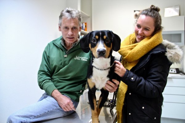 Zwischen Hoffen und Bangen: Der junge Entlebucher Sennenhund Amigo hat den Kampf gegen Leptospirose gewonnen. Dr. Arne Timm und Besitzerin Janina Balk freuen sich, dass der Junghund wieder fit ist. - © Heidi Stork