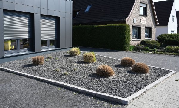 Komplett abgedeckt: Pflanzen ragen aus einem Vorgarten mit grauen und schwarzen Kieselsteinen – ein Beispiel aus Bremen, wo Schottergärten politisch diskutiert werden. - © Carmen Jaspersen/dpa