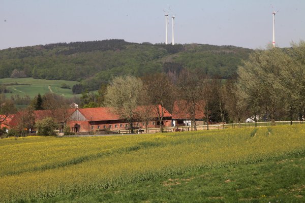 Pferdehof bei Brosen - © Vera Gerstendorf-Welle