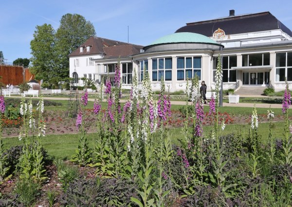 Damit im Kurpark genug und das Richtige an der richtigen Stelle wächst, setzen sich die Ratsfraktionen von Freien Wählern, Bündnis 90/Die Grünen und FDP ein. - © Paul Cohen