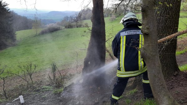 Die Feuerwehr löscht einen brennenden Baum. - © Feuerwehr Dörentrup