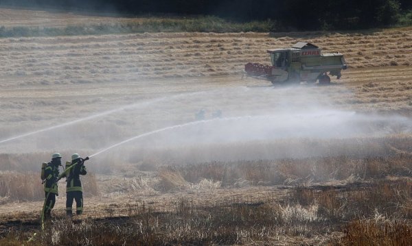 Im Kreis Höxter konnte die Feuerwehr den Brand auf einem Feld unter Kontrolle bringen. - © David Schellenberg
