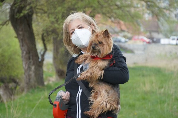 Was während der Quarantäne verboten ist? Unter anderem der Hundespaziergang. - © Symbolfoto