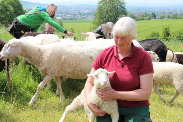 Trügerische Idylle: Karla Ebert freut sich, dass wenigstens ein paar Schafe gerettet wurden – doch die Trauer um die toten Tiere überwiegt. Im Hintergrund ihre Unterstützer (von links) Gabriele Greven, Thomas Zimmermann und Anja Kracht. - © Nadine Uphoff
