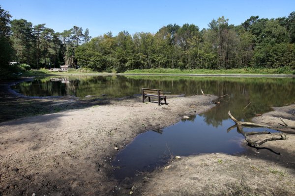 Postteich heute: Das Wasser hat sich an den Ufern zurückgezogen. Dennoch ist das Gewässer von seinem Zustand im vergangenen Sommer weit entfernt. - © Bernhard Preuss