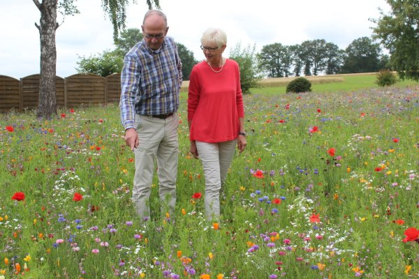 Horst und Helena Begemann inmitten ihrer bunten Blütenpracht. Viele verschiedene Insekten tummeln sich hier, aber auch Schwalben auf Beutezug lassen sich beobachten. - © Reinhold Sölter
