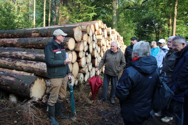 Sorge um den Wald: Förster Friedrich Meiercord zeigt bei einem Rundgang, wie es um den heimischen Forst bestellt ist. - © Katrin Kantelberg