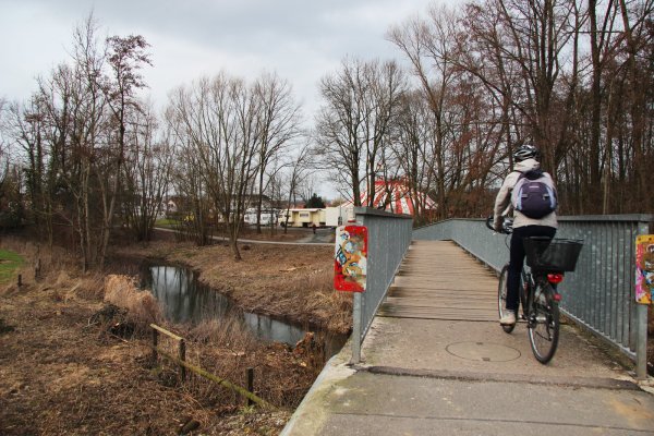 Stück für Stück: Bis kurz hinter die Brücke am Regenstorplatz reicht der Abschnitt, den die Stadt als nächstes beim Hochwasserschutz angehen möchte. Im Anschluss soll dann die Fläche bis zur Pagenhelle folgen. Auf gut 800 Metern soll in den an die Bega angrenzenden Wiesen eine große Flutmulde entstehen. Foto: Katrin Kantelberg - © Katrin Kantelberg