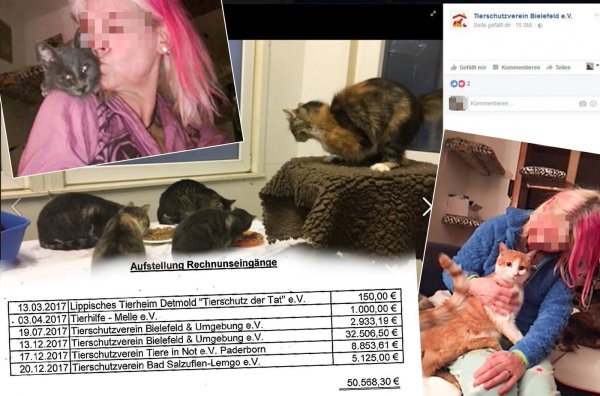 Das Tierheim Bielefeld übernahm 39 der Tiere. Entsprechend hoch waren dort die Kosten. - © Fotos: privat, Facebook / Montage: Thomas Grundmann