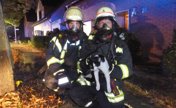 Gestresst, aber in Sicherheit: Die Katze konnte von den Rettungsleuten in Sicherheit gebracht werden. - © Feuerwehr Kalletal