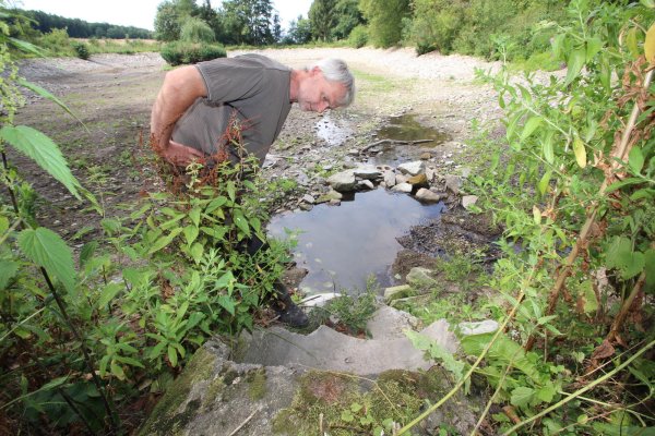 Ausgetrockneter Dorfteich in Schwelentrup: Dr. Rudolf Diekmeier, Vorsitzender des Vereins „Tiere im Dorf", guckt in den staubtrockenen Zulauf. - © Jens Rademacher