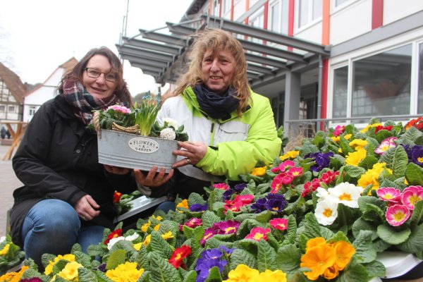 Mit bunter Blumenpracht gegen das triste Grau. - © Michaela Weiße