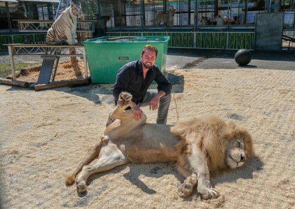Martin Lacey mit einem Löwen. - © Andreas Zobe
