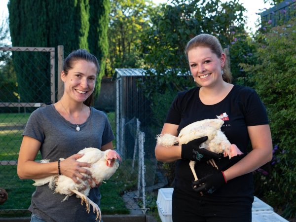 Daniela Tesche (rechts) setzt sich für ausgediente Legehennen ein. Sie vermittelt die Tiere in eine artgerechte Haltung. Jana Prehm nimmt vier Hennen mit nach Hause. - © Patrizia Lerch
