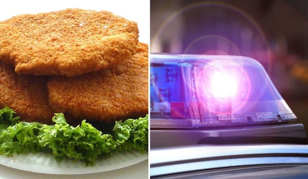 Tatwerkzeug Tiefkühlschnitzel: eiskalter Einsatz für die Polizei. - © Symbolfoto Pixabay/Andreas Frücht
