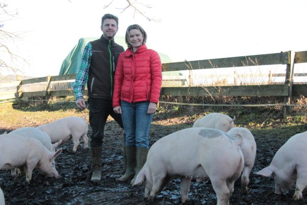 Auf dem Hof von Andreas und Carolin Wöhrmeier bekommen die Schweine viel Auslauf an der frischen Luft. - © Carolin Brokmann-Förster