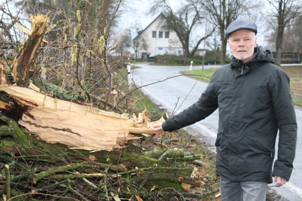 Unfachmännisch: Grünen-Chef Jürgen Rosenow (Foto) kann das Ausmaß der vom Kreis Lippe durchgeführten Maßnahme an der Ohrser Straße nicht fassen. - © Sandra Castrup