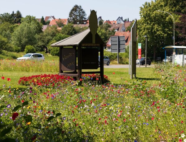 Blumenpracht: Rund um den Kreisel in Bad Meinberg und an vielen weiteren Ecken im Stadtgebiet von Horn-Bad Meinberg hat die Kommune inzwischen Blühwiesen anlegen lassen. Es handelt sich dabei um mehrjährige Blumenmischungen. - © Patrizia Lerch