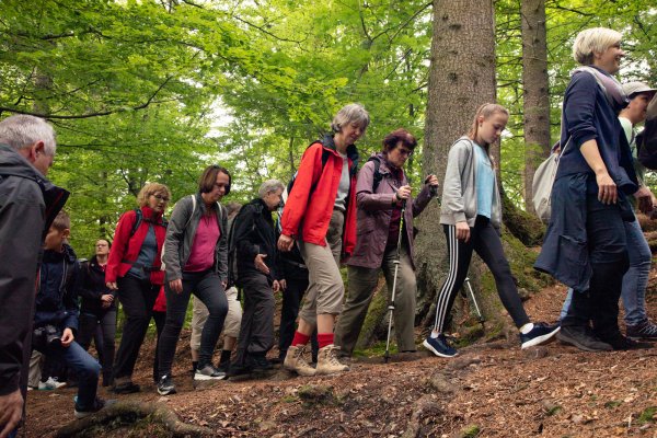Auf in die Natur: 300 Kilometer Wanderwege gibt es in Lippe und jede Menge in Detmold. Ausgehend von der Innenstadt sind das Hermannsdenkmal und die Externsteine markante Zielpunkte, an denen sich viele andere sehenswerte Institutionen aufreihen. - © Torben Gocke