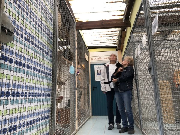 Undicht: Angelika Szrama (links) und Bärbel Karge werfen im Katzenhaus einen bangen Blick zur Decke. Bei Regen läuft in einige Käfige Wasser. - © Sven Kienscherf