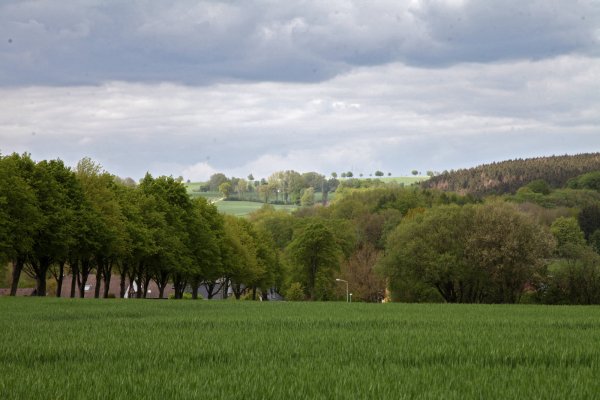 Blick von Barntrup Richtung Norden. - © Bernhard Preuss