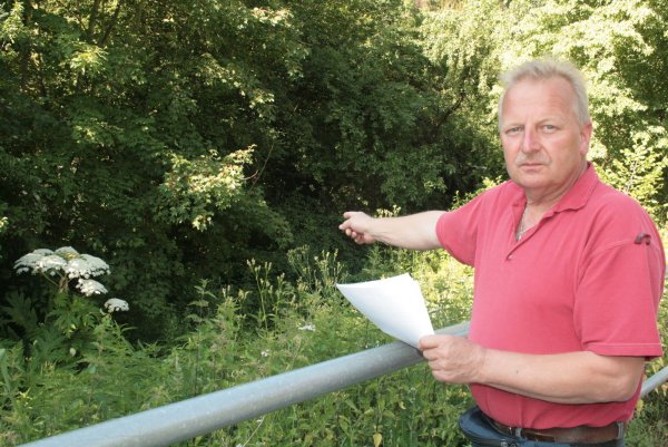 Ist sauer über den Zustand des Nordhagens: der Bösingfelder Uwe Krüger. Hier zeigt er auf den wuchernden giftigen Riesen-Bärenklau. Foto: Sylvia Frevert - © Sylvia Frevert