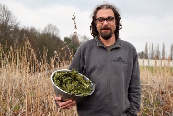 Cannabis als Medizin: Stefan Noelker-Wunderwald ist der Meinung, dass der Staat es vielen Patienten noch immer zu schwer macht, an ihre Medizin zu kommen. Er selbst baut Nutzhanf an, hier auf einem abgeernteten Feld in Steinheim. - © Greta Wiedemeier