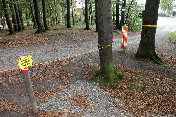 Unmittelbar hinter Parkplatz vom Aussichtsturm - © Bernhard Preuss
