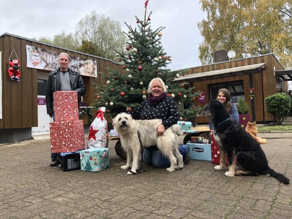Freuen sich auf viele Besucher: Die Tierpfleger Thomas Schmitz, Melanie Vogt und Milena Ciecor, die ihren Bundesfreiwilligendienst im Tierheim absolviert, stehen vor dem Weihnachtspostamt, an dem Geschenke für die Tiere abgegeben werden können. - © Sven Kienscherf