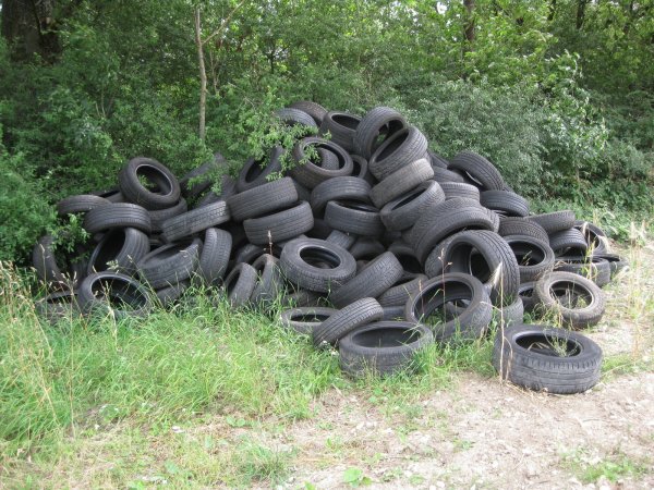 Im Wald entsorgt: In der Nähe von Stapelage haben Unbekannte rund 150 Altreifen verschiedener Fahrzeuge entsorgt. - © Alexander Krawinkel