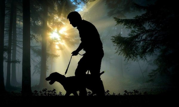 Durch einen Vergleich konnten sich zwei Jäher aus Lügde jetzt einigen. - © Symbolbild: Pixabay
