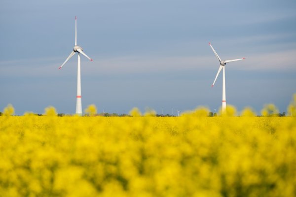 Die Netzagentur verzeichnet derzeit einen Boom bei der Genehmigung neuer Windenergieanlagen an Land. (Symbolbild) - © Hauke-Christian Dittrich/dpa