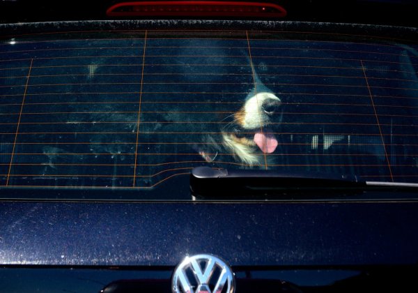 Gerne mitfahren - © Foto: Axel Heimken/dpa
