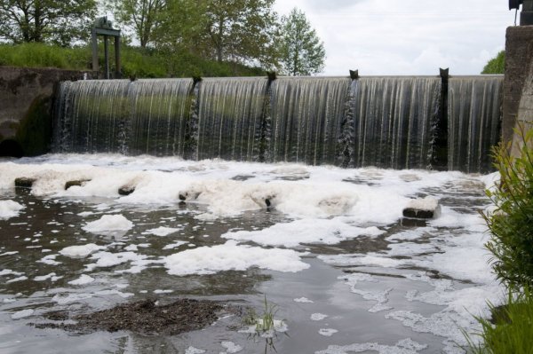 Toter Fluss: Schaumig ist das Wasser am Nienburger Wehr eigentlich nicht. Die Silage-Gülle-Mischung sorgte gestern für dieses Schauspiel. - © Thomas Klüter