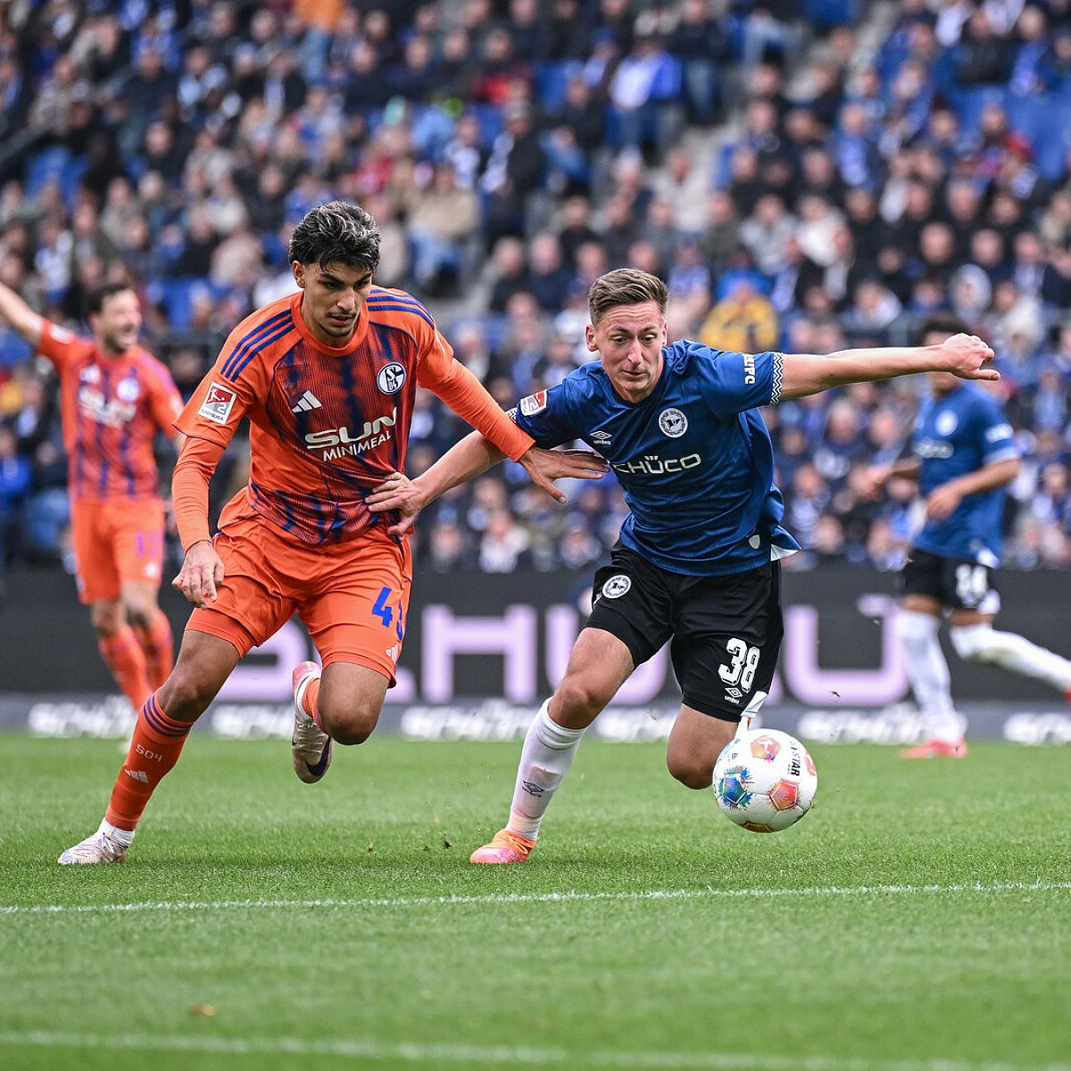 Juliana casali fapello