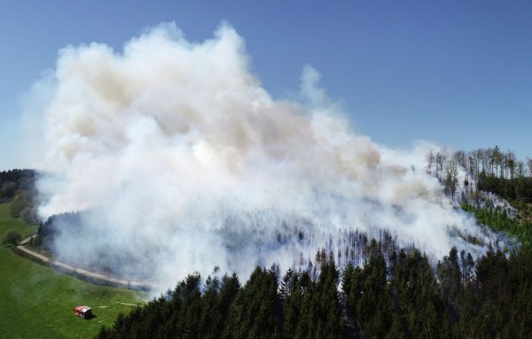 Der Klimawandel begünstigt Waldbrände laut Experten auch in NRW. (Archivbild) - © Berthold Stamm/dpa