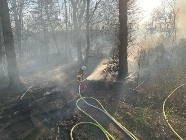 Rund 350 Kräfte sind bei dem Waldbrand im Einsatz. - © Uncredited/Freiwillige Feuerwehr der Stadt Overath/dpa