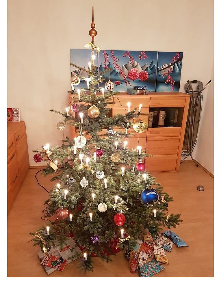 Weihnachtsbäume in Lippe