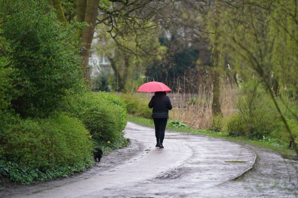 Laut einem Wetterexperten sollten Sommerliebhaber das gute Wetter am Samstag noch einmal gut nutzen - bevor es ungemütlicher wird. (Archivbild) - © Marcus Brandt/dpa