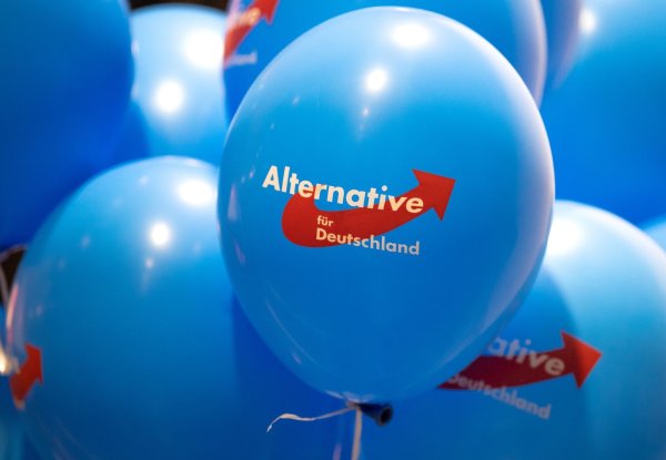 Dürfen AfD-Mitglieder in Rheinland-Pfalz nicht in den öffentlichen Dienst übernommen werden? Das wird letztlich im Einzelfall entschieden. (Symbolbild) - © Monika Skolimowska/dpa-Zentralbild/dpa