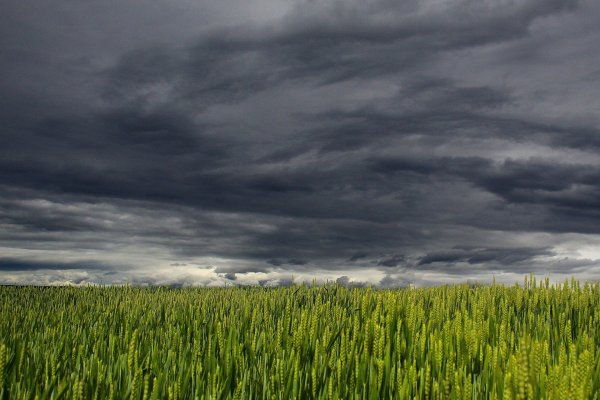 Dunkle Wolken schieben sich auch über den lippischen Himmel. - © Symbolfoto: Pixabay