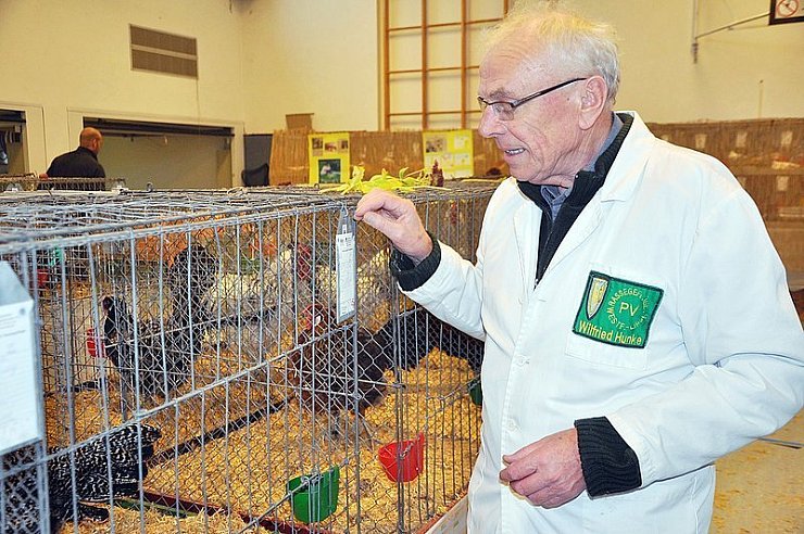 Wilfried Hunke bewertet die gefiederten Tiere in der Mehrzweckhalle Istrup. - © Foto: Sauer