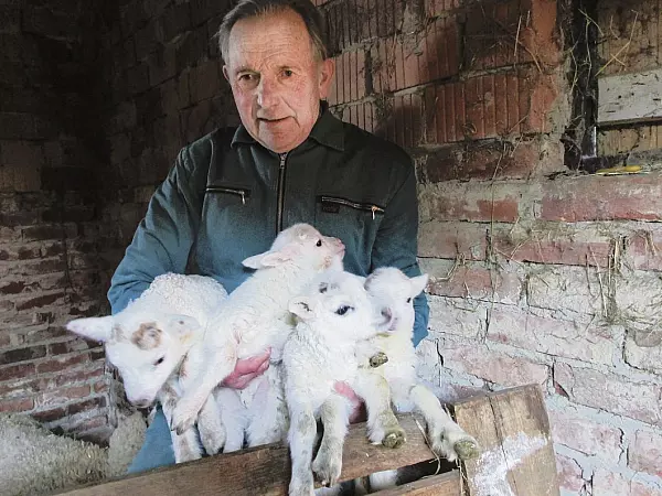 Kaum einen Tag alt: In der Nacht vom 7. auf den 8. M&auml;rz kamen die Vierlinge zur Welt. Martin Blomeyer entdeckte sie als erster. - &copy; Tyler Larkin