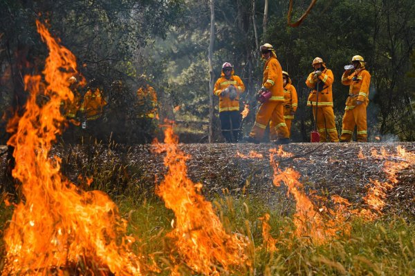 Buschbrände in Australien - © Foto: Jason Edwards/News Corp Australia/State Control Center Media/dpa