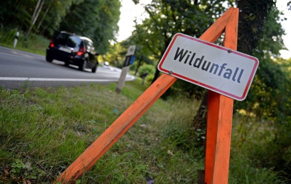 Das Schild weist Autofahrer auf einen Wildunfall hin. - © Symbolbild